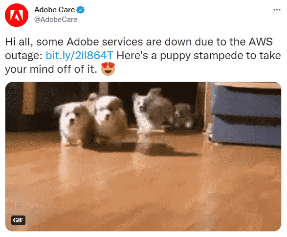 funny website outage tweet from adobe